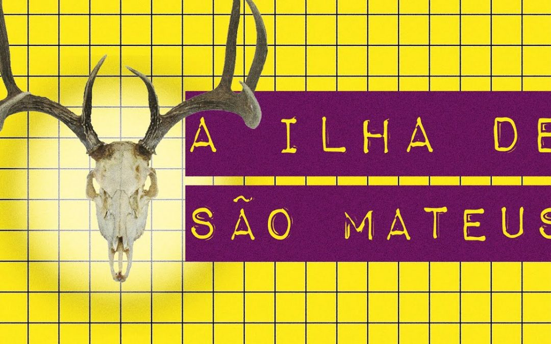 A ILHA DE SÃO MATEUS